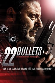 22 Bullets